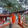 Inside Temple- Gorakhal Nainital