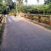 Scene from Nannilam bridge