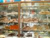 Nizamabad Sweet Shop