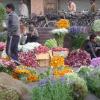 Flower Market - Noida