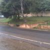 mudumalai road from ooty