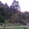 Botanical garden in Ooty