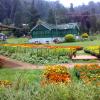 Colourful Botanical Garden at Ooty
