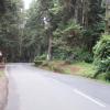 Road to Nilgiri Hills, Ooty