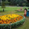 Floral arrangement - Ooty botanical garden