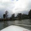 Lake view from boat - Ooty