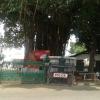 Secretariat Gate in Pattom