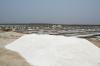 The salt works just north of Pondicherry