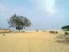 Pulicat Lake Beach, Thiruvallur