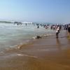 Enjoying people in Puri beach