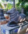 11th AD Nandi Idol @ Rajahmundri