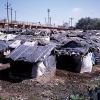 Slum houses - Ranchi