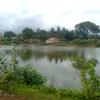 Pond near Seduthankuppam Village