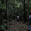 Trekking in forest at Agumbe