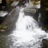 Water oozing with force at Agumbe