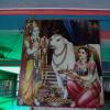 Lord Krishna with His cow at Temple, Shukratal
