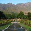 Nishat Bagh Mughal Garden - Srinagar