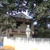 Rukmani Devi Animal Centre (Blue Cross), Sunguvarchattiram