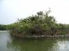 Ranganthittu Bird sanctuary - Looks like an Island