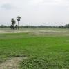 Landscape of Susta, Muzaffarpur District