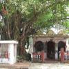 500 years old Batakeshwer Kalimata Temple in Tarakeswar