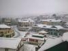 Houses covered by snow - Tawang