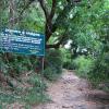 Chitraruvi Forest in Courtallam Near Tenkasi