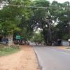 Courtallam Road Near Tenkasi