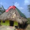 A Village House at Kanchipuram