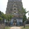 Santharai Katha Sami Temple Thillaiyadi