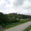 Beautyful road near to Thiruvalla Railway Station