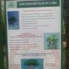 Board stating values of a tree in Trivandrum Zoo