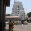 Another view of the ornate Gopurams - Thiruvannamalai