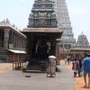 loyal nandi faithfully yours! - Thiruvannamalai