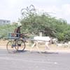 A view of Tuticorin Saveriapuram