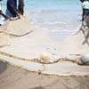 Fishing nets with fishes at Tuticorin beach