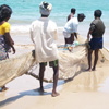 Group of men pulling the fishingnet