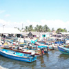 Tuticorin fishing boats