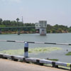 Tuticorin Aathoor Thamirabarani bridge Lake view 