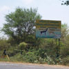 Tuticorin district Vallanadu Black buck Sanctuary