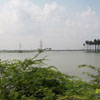 A view of Korampallam pond at Tuticorin district
