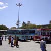 Buses waiting for passengers at Arignar Anna old bus stand Tuticorin district