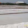 Tuticorin salt producing areas