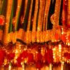 Celebrations of Thrissur pooram