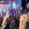 Elephants with Umbrellas in Thrissur, Kerala