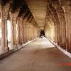Nellaiappar Temple - Pillars - Thirunelveli