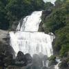 Vanatheertham falls - Papanasam