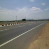 Tirunelveli Thoothukudi Highway