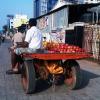 Fruits seller using Bullock Cart for their Business
