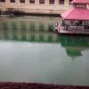 Pond inside the Krishna temple, Udupi